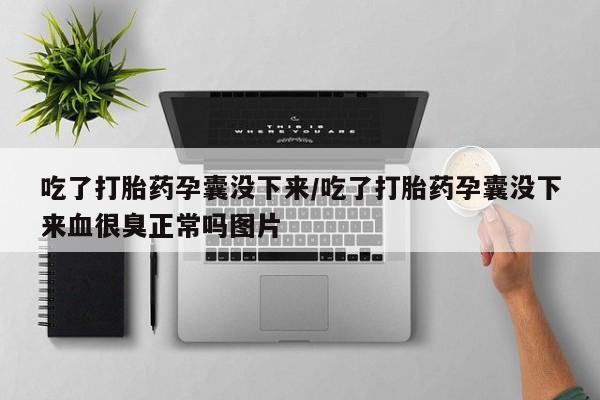 网上如何购买堕胎药吃了打胎药孕囊没下来/吃了打胎药孕囊没下来血很臭正常吗图片